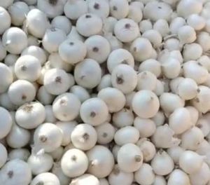 Fresh White Onion