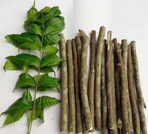 Neem Sticks