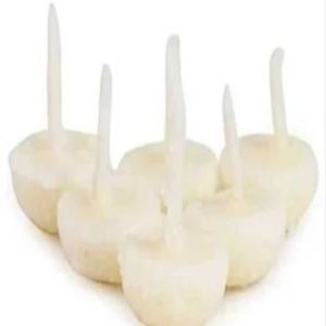 White Ghee Diya