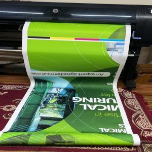 Glossy Vinyl Printing Services