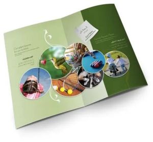 Offset Catalogue Printing Services