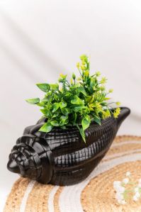 Midnight Conch Planter