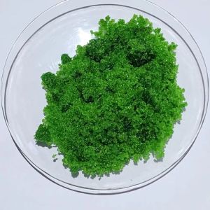 Nickel Chloride Crystal