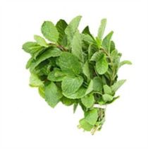 Mint Leaves