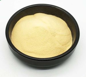 Fish Extract Powder