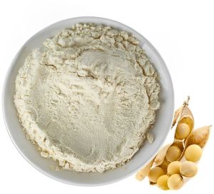 Soya Protein Hydrolysate