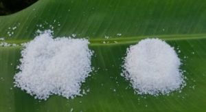 A Grade Desiccated Coconut Powder
