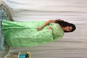 Handloom Cotton Jamdani silk Saree