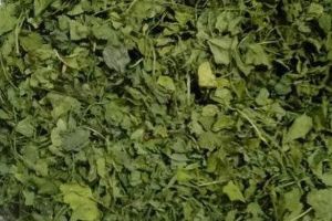 Kasuri Methi