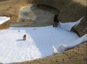 Geotextiles Slope Protection Non Woven Geotextile,