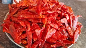 Guntur Stemless Dry Red Chilli