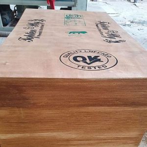 Topten Brown Plywood Board