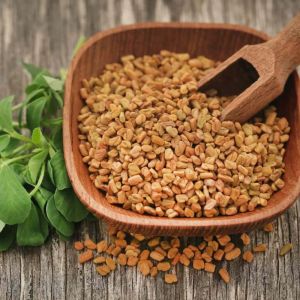 Fenugreek Seed