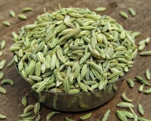 Organic Fennel Seeds