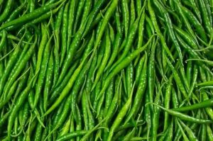 Fresh Green Chilli