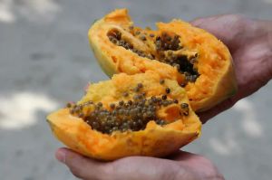Fresh Papaya