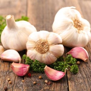 Fresh Garlic