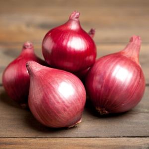 Fresh Red Onion