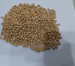 Soya Beans
