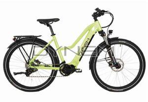 C045 Dynem Polaris Electric Bicycle