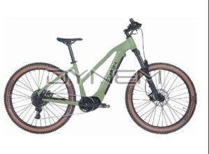 C071 Dynem Neostar Electric Bicycle