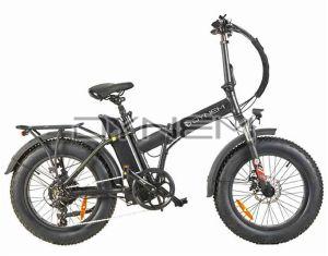 F031 Dynem Hefei Electric Bicycle