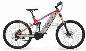 M057 Dynem Athena + Electric Bicycle