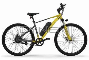 M059  Dynem Blaze Electric Bicycle