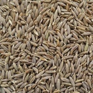 Cumin Seed