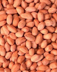Bold Peanut