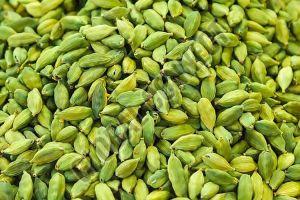 7mm Cardamom