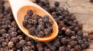Black Pepper