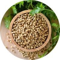 Coriander Seeds