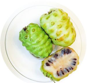 Morinda Citrifolia Organic Noni Fruit Powder