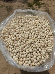 5 Plus Suta Makhana
