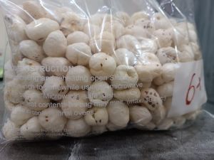 6 Suta Makhana
