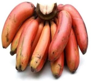 A Grade Red Banana