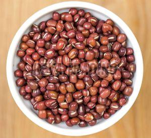 Adzuki Beans