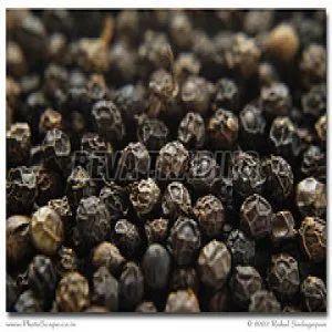 Black Peppercorns