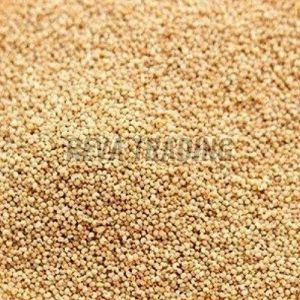 Poppy Seeds