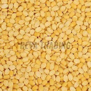 Yellow Moong Dal