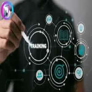 Training & Skill Development Service