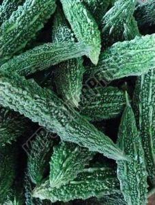 Fresh Bitter Gourd