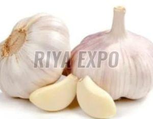 Fresh Garlic