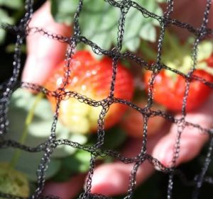 Agricultural Shade Net