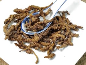 Traditional Chinese Medicine Coptisroot(Huanglian)