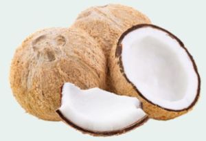 Coconut