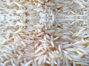 Ambika Rice