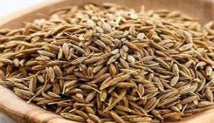 Cumin Seeds