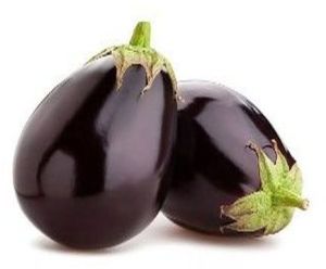 Fresh Brinjal
